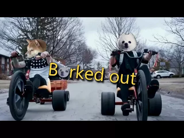Twenty one Doggos - Borked out