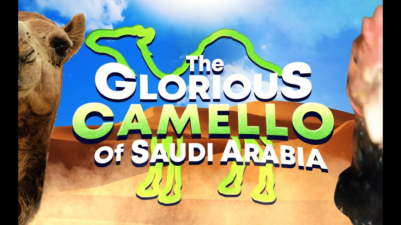 【Collaboration】The Glorious Camello Of Saudi Arabia