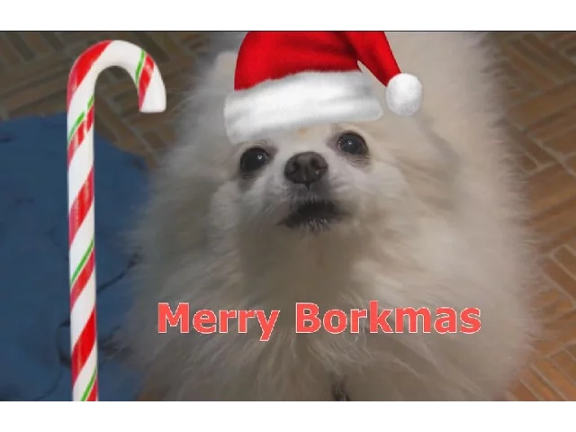 Feliz navibork