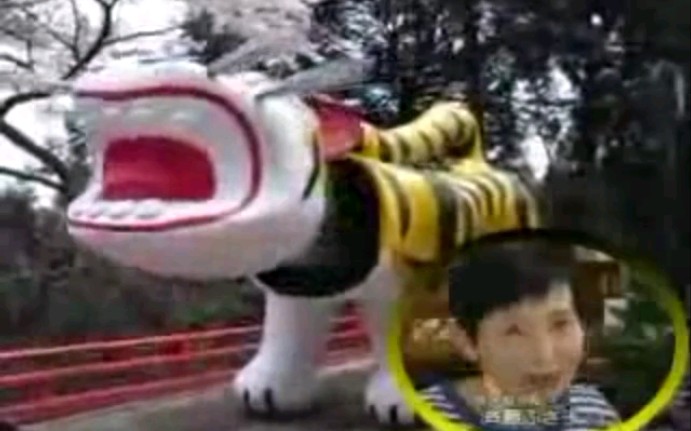 ALL SHIBATA WANT