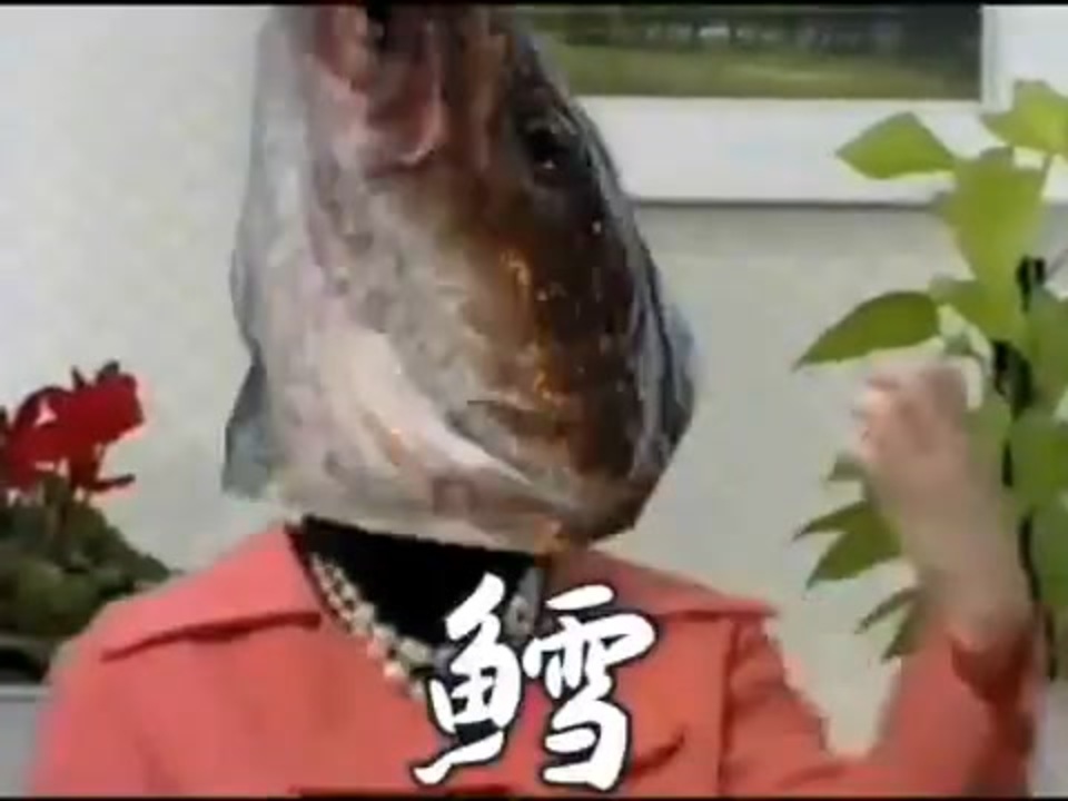 頭がスーパーンデラックス