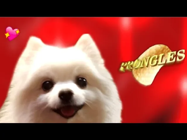 Prongles Song