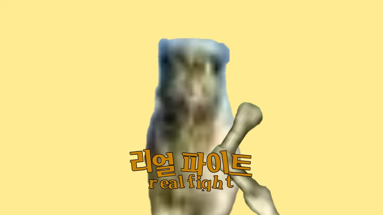 REAL FIGHT