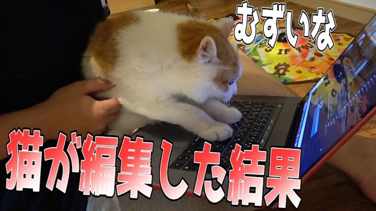 猫が編集した合作