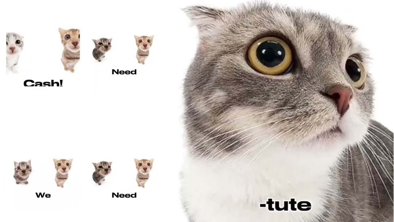 [YTPMV] journey to needing cash 2