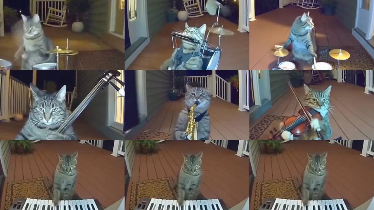 ねこアスレチック