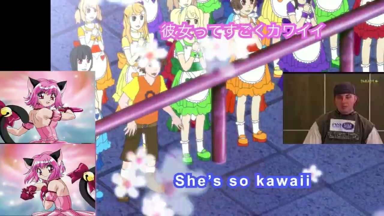 mew's a liar [DDVC3]