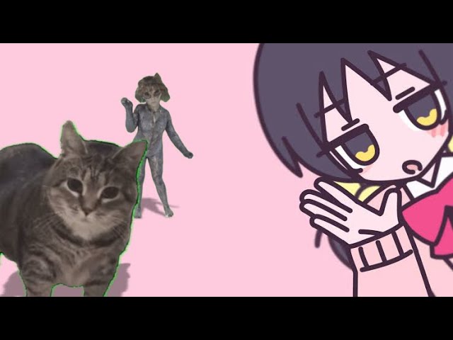 あぁお / oiia cat【音MAD】