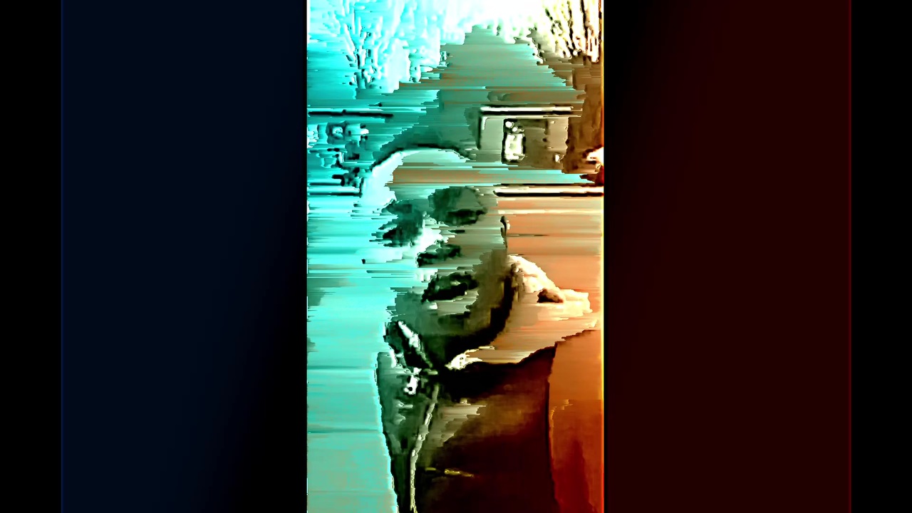 冷蔵庫でキレる外国人