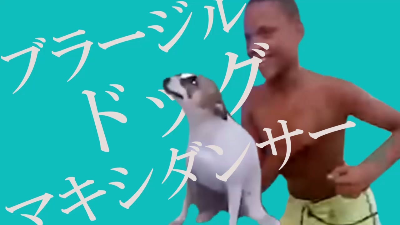 ブラージル・ドッグ・マキシダンサー