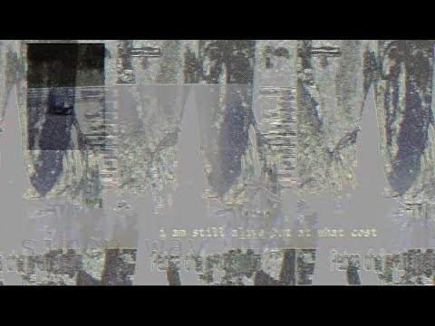 The Castle City Collab