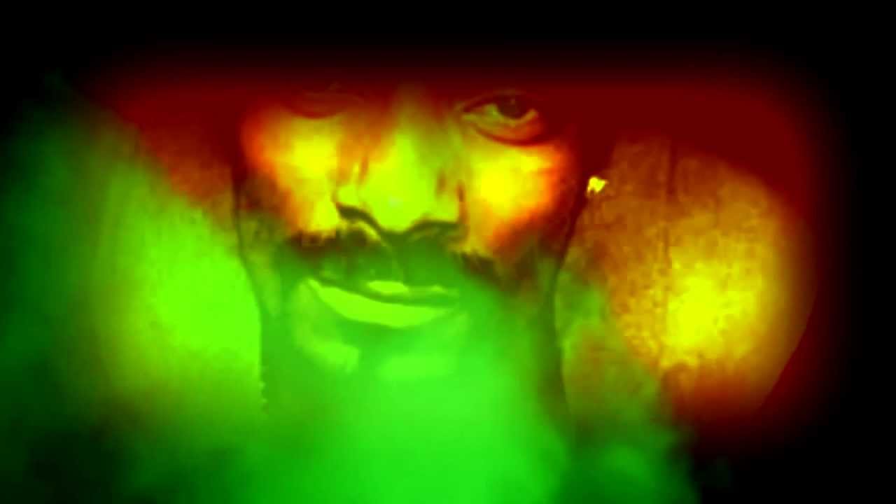 Snoop Dogg smokes like a butterfly(unfinished)