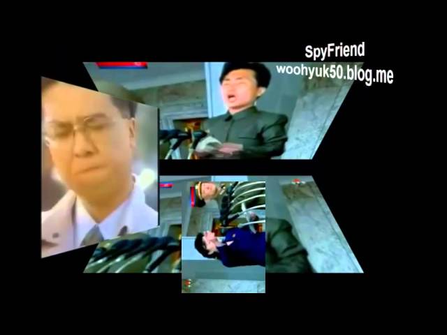 북괴 제거제(North Korean plastic pop)