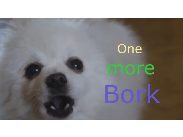 Gabe - One more Bork