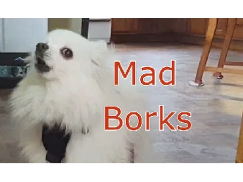 Mad borks