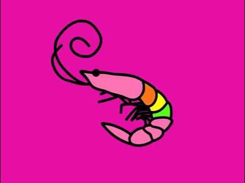 flamingo sexer