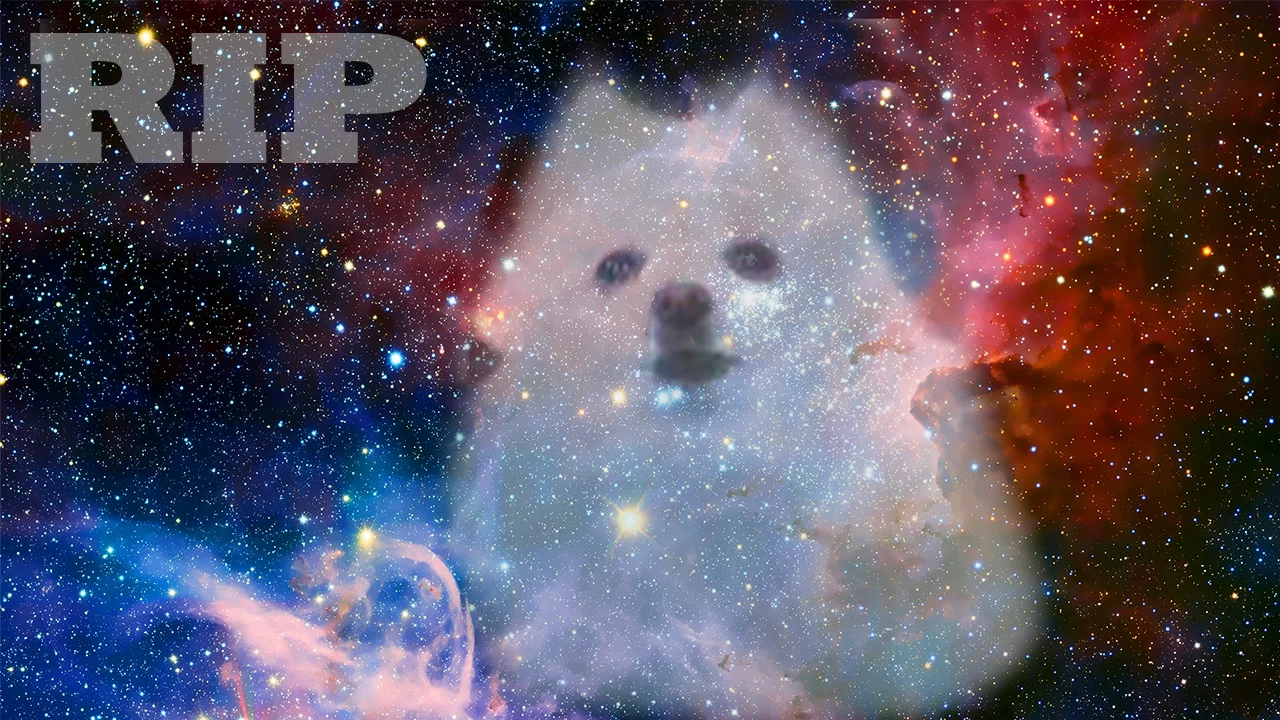 Rest in peace, my friend (Gabe the Dog tribute)