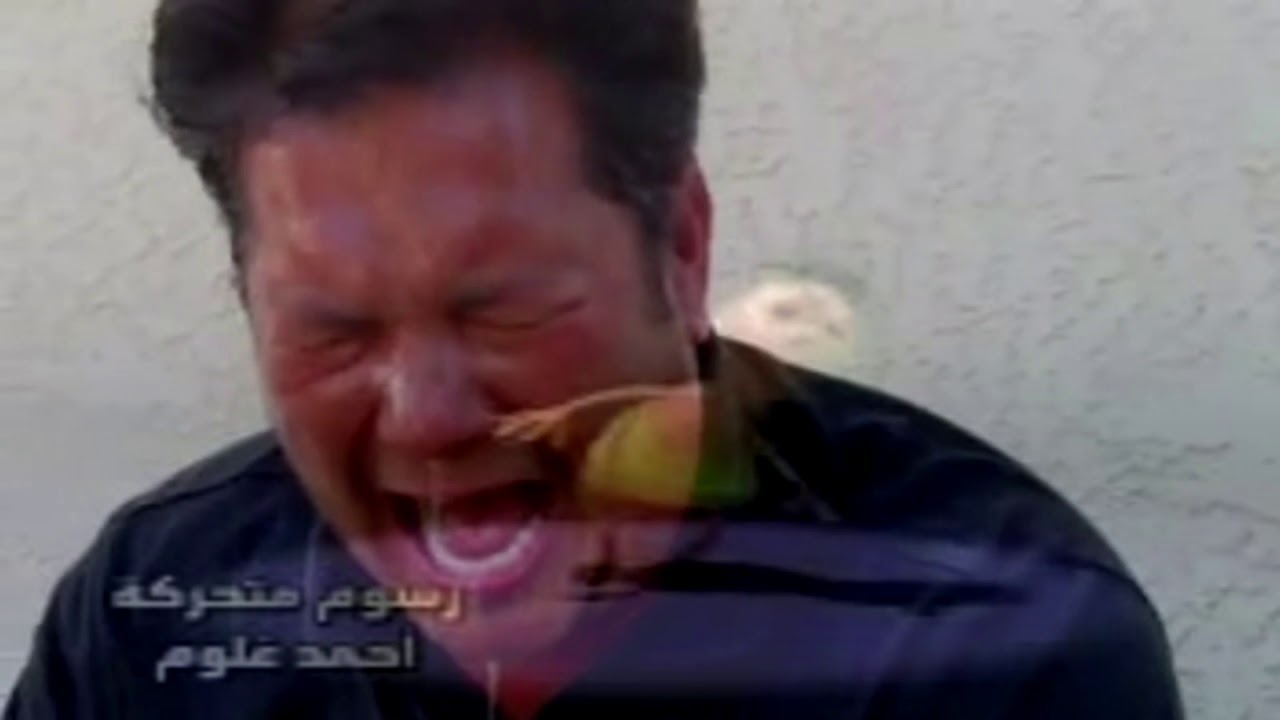 Hamoud, Hamoud