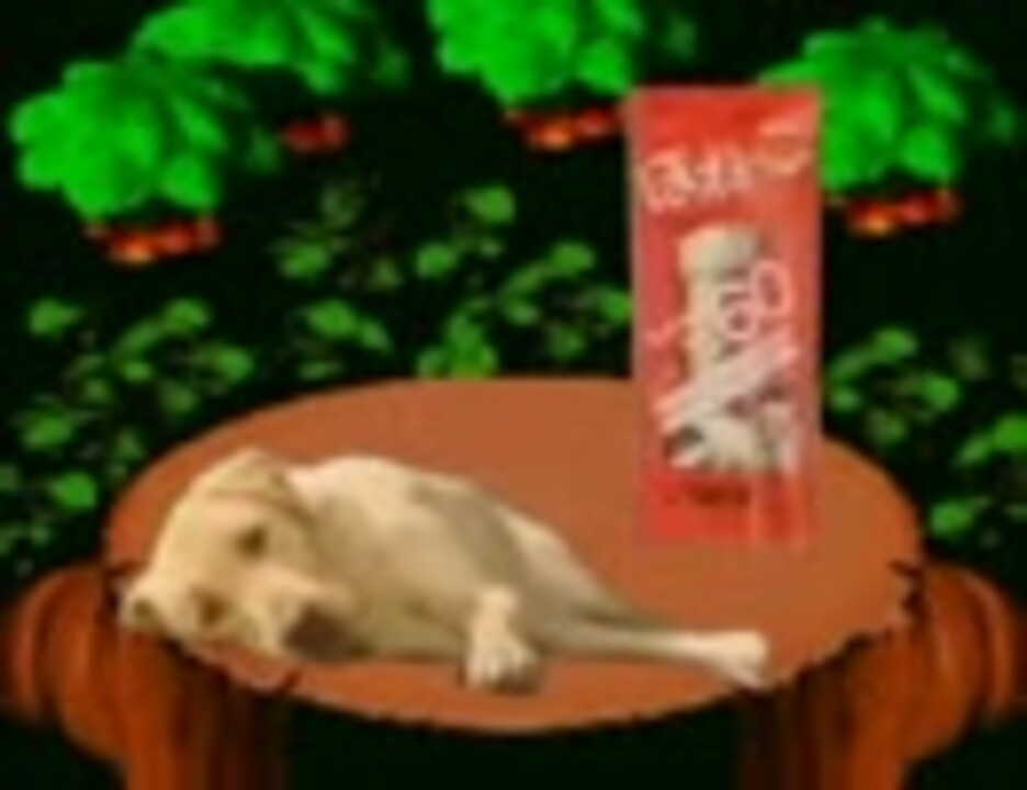 ゴン太の危険な一日