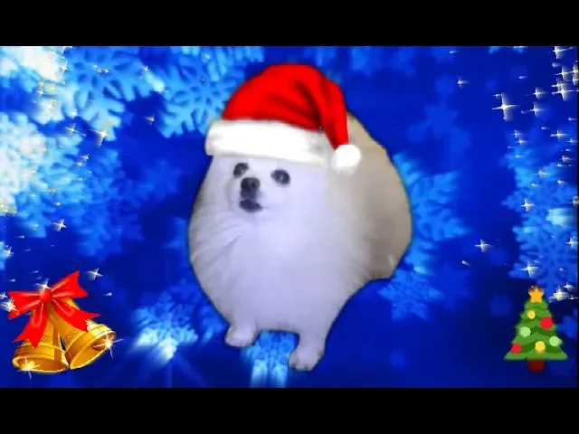 Jingle Borks