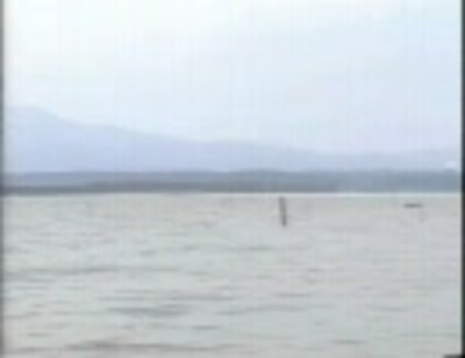 森の妖精がファミリーマートに入店したようです。よ。