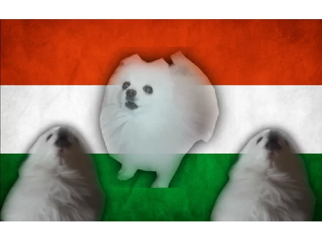 Hungarian dog