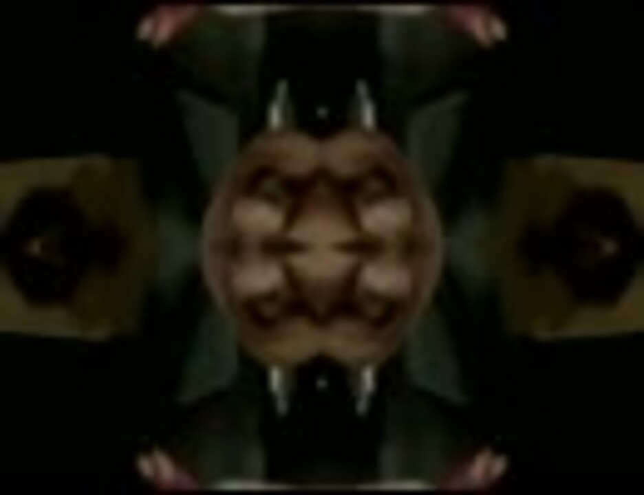 【毫无鬼畜】元首 Reflection