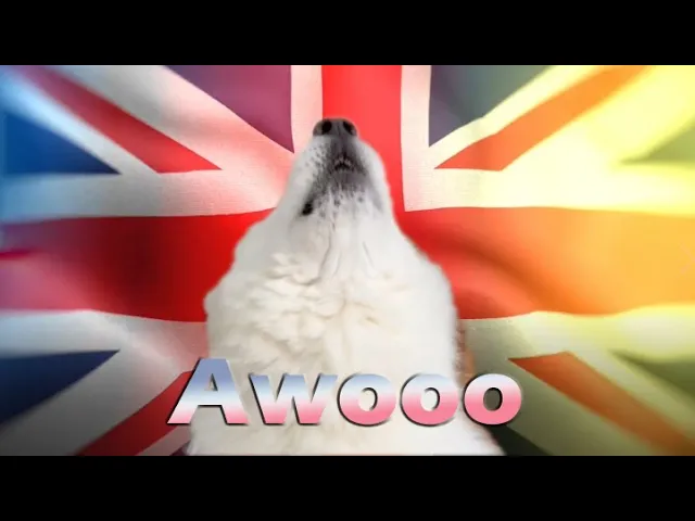 Dog save the King