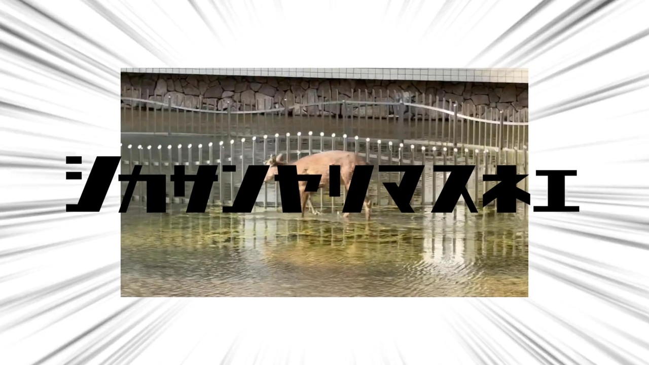 シカサンヤリマスネェ