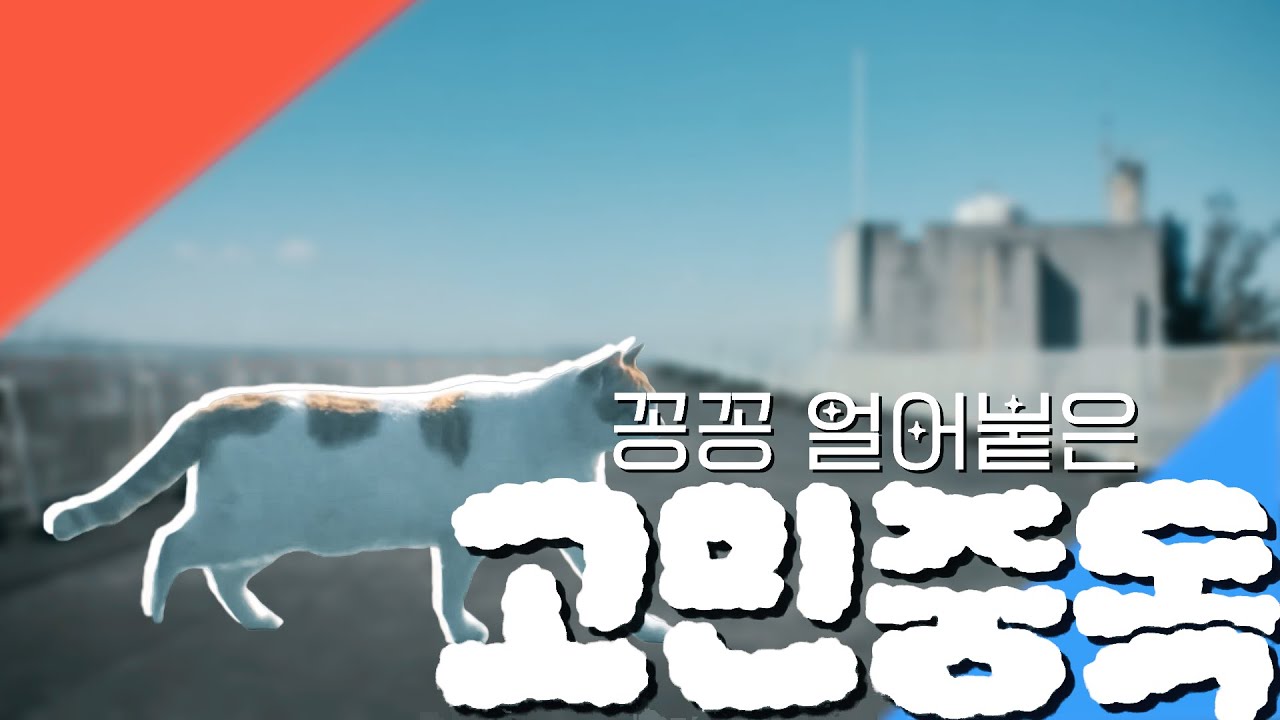 꽁꽁 얼어붙은 고민중독