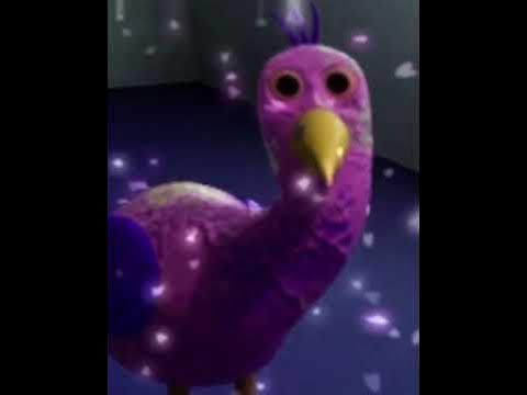 opila bird crossing