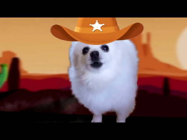 Cotton Eye Dog