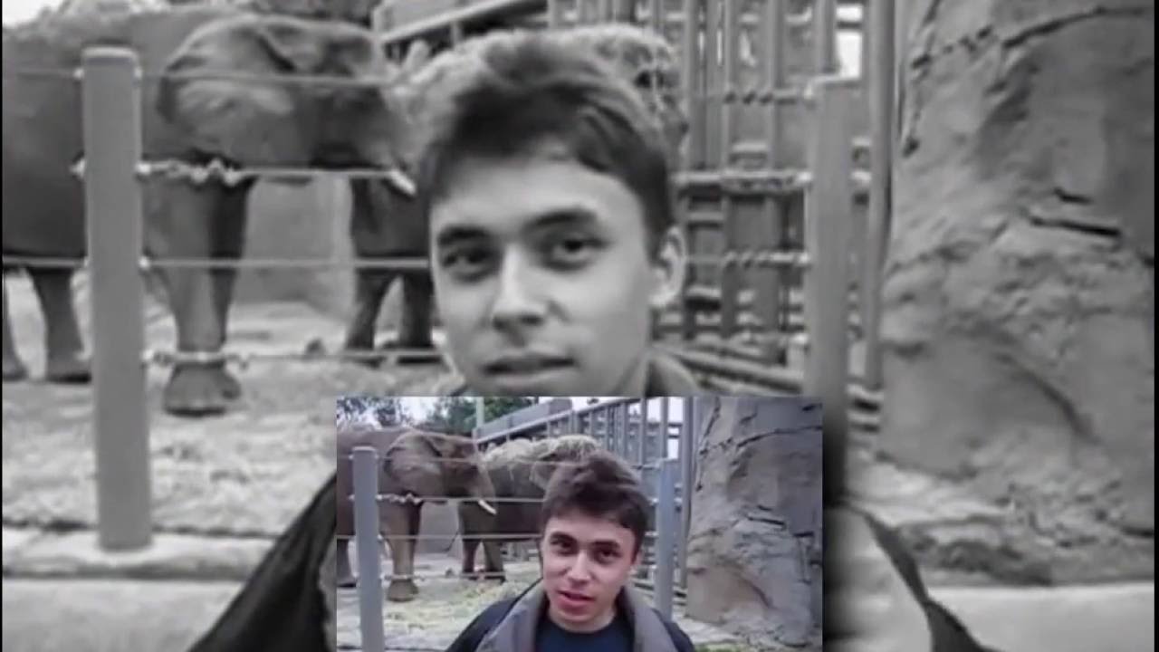 Jawed burns a zoo