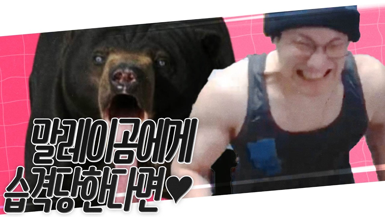 말레이곰에게 습격당한다면♥