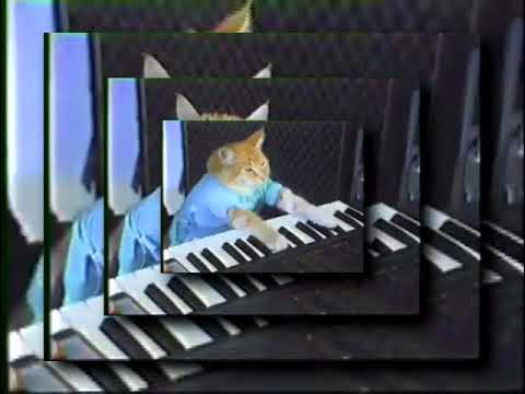 beware the keyboard cat ytpmv