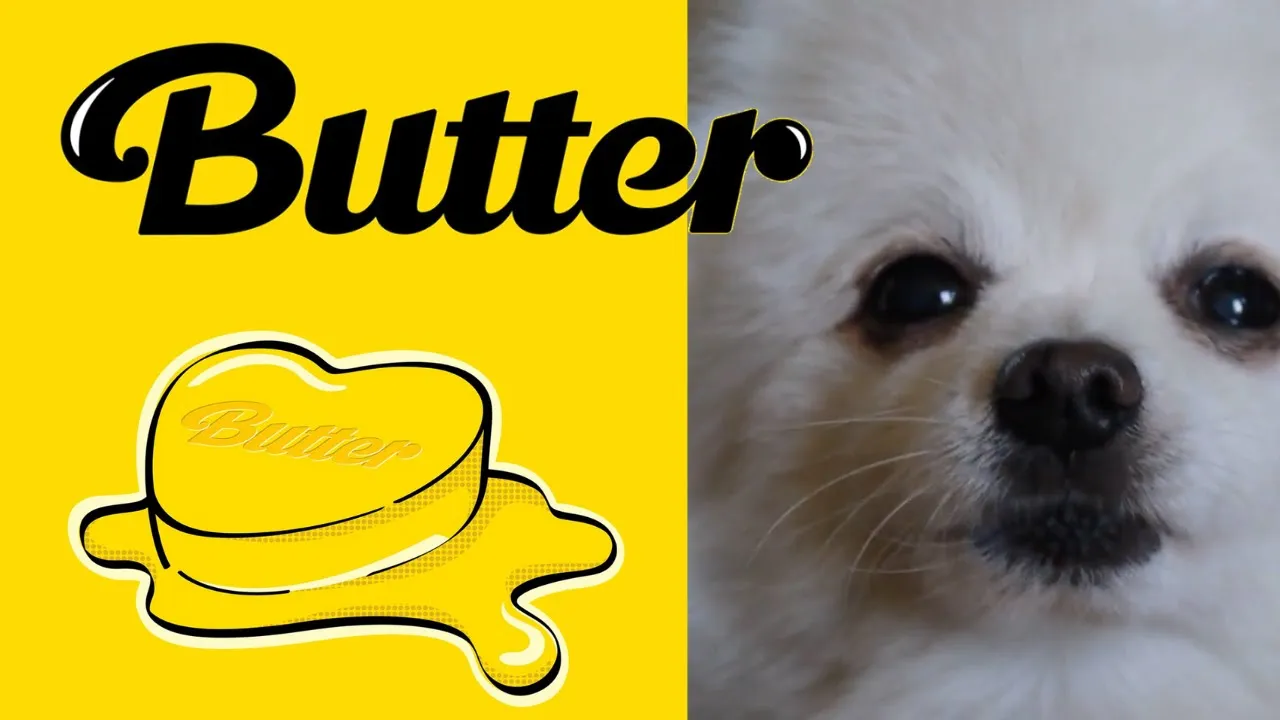 BTS (방탄소년단) - Butter(Dog Cover)