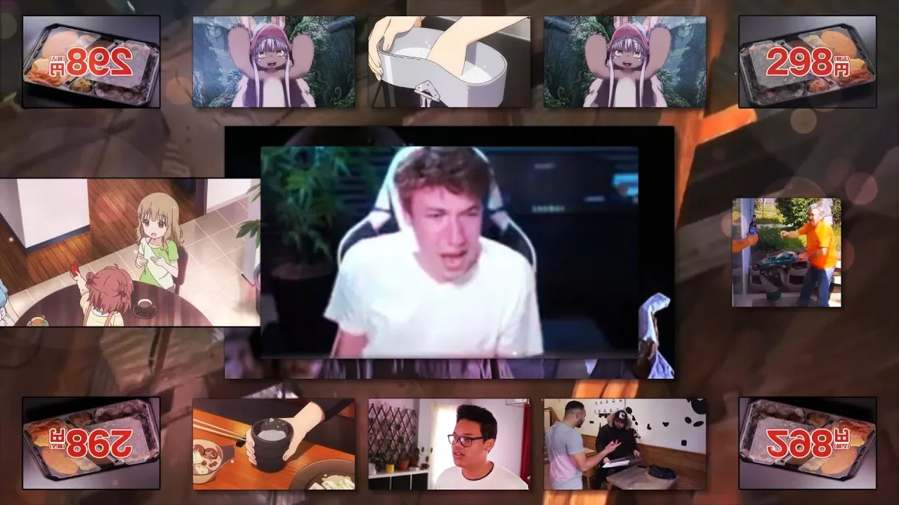 Shibamatièrefécale