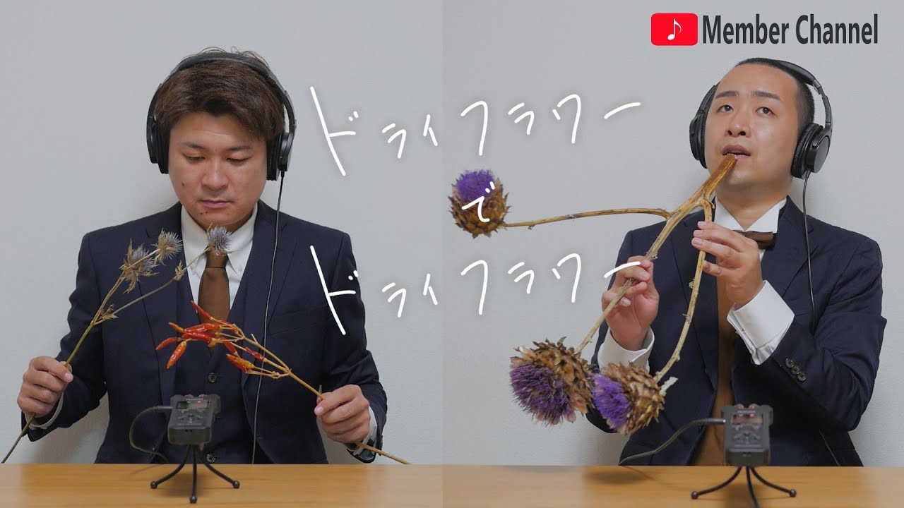 ドライフラワーから出た音を加工して優里の【ドライフラワー】奏でてみた