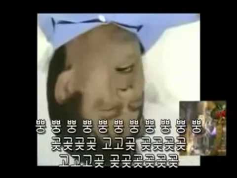 고자 오브 나이츠