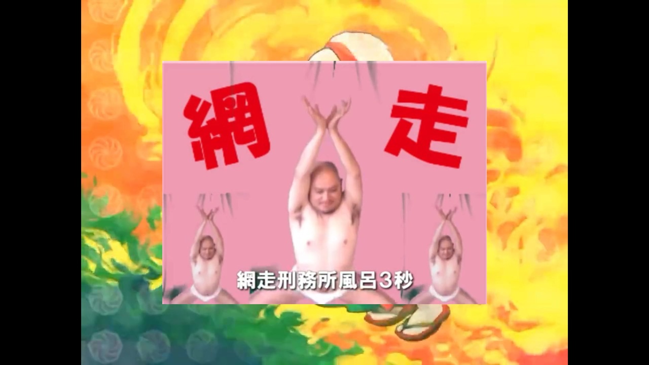 網Sigsig
