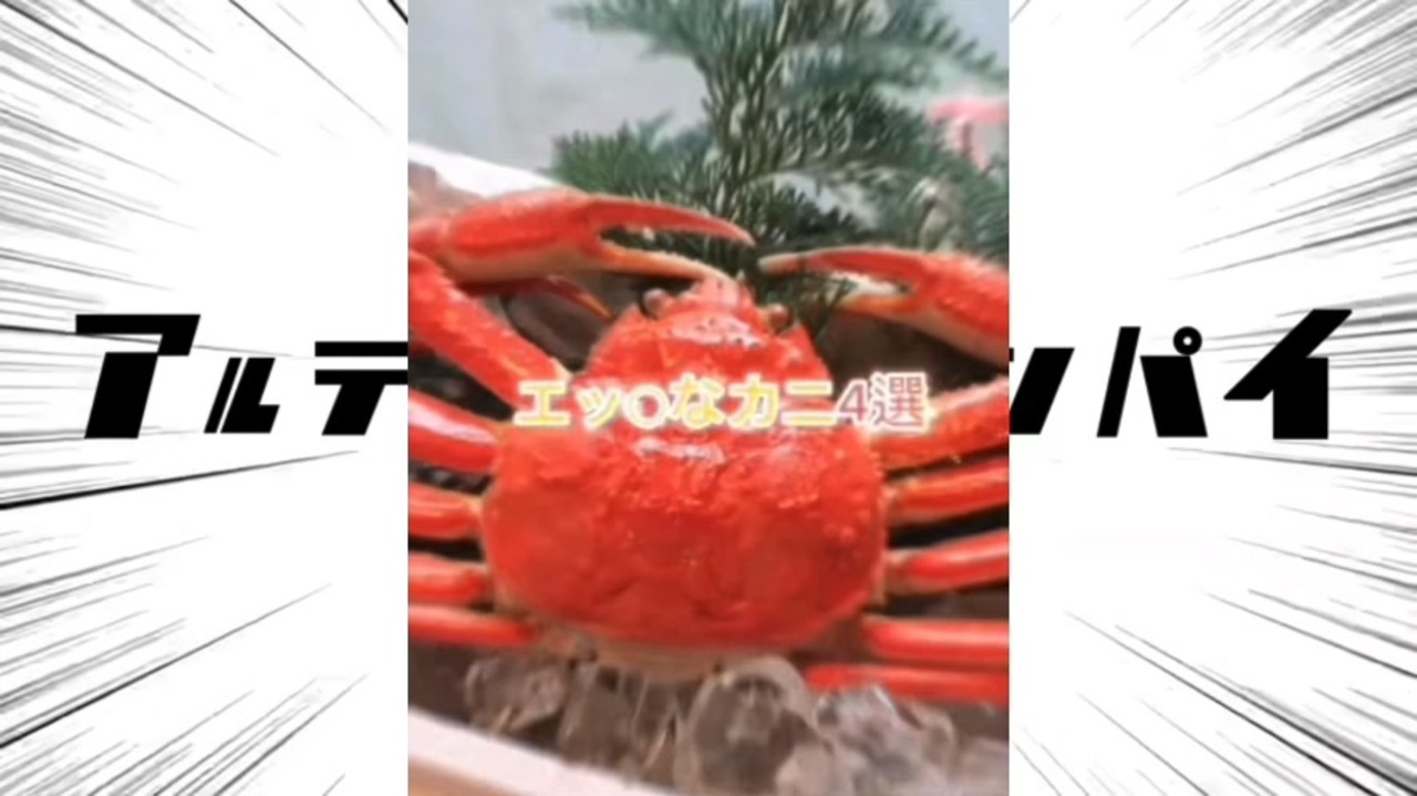 アルティメットエッ◯なカニ4選パイ