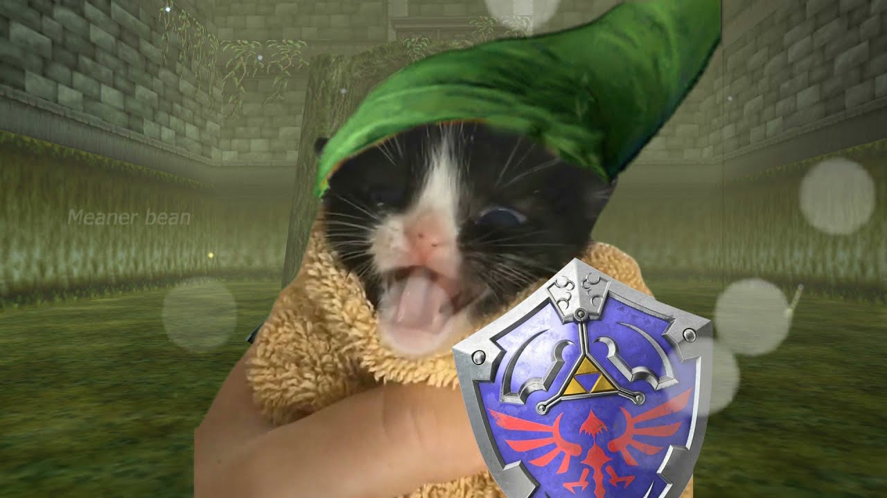 Asian man teaches kitten saria's song