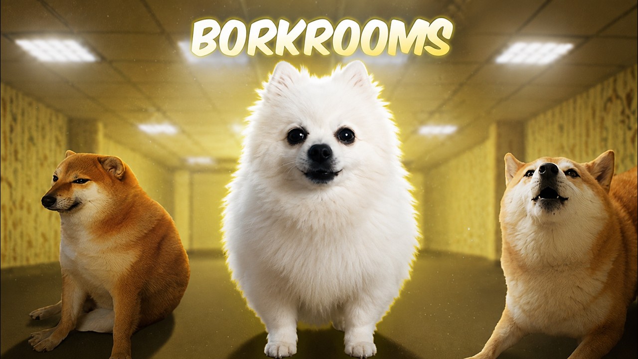 Looping the Borks (The Backrooms)