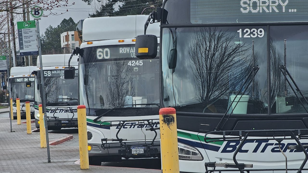 BC Transit for all ephemeral customers.