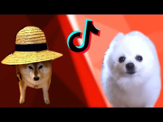 Maybe I'll be Doggo