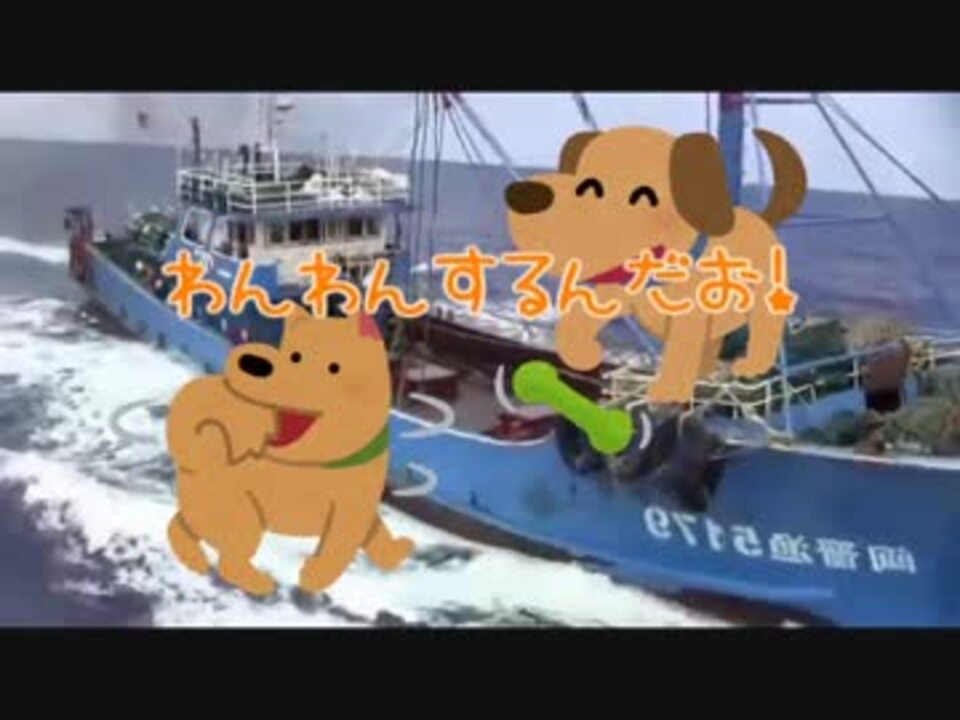 衝突族のみずき