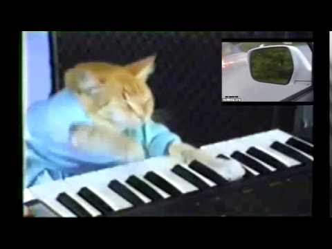 Keyboard Cat 【RED ZONE】【レッドゾーン】[REUPLOAD]