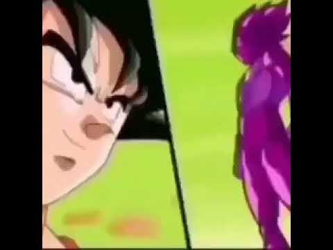 feliz circulation