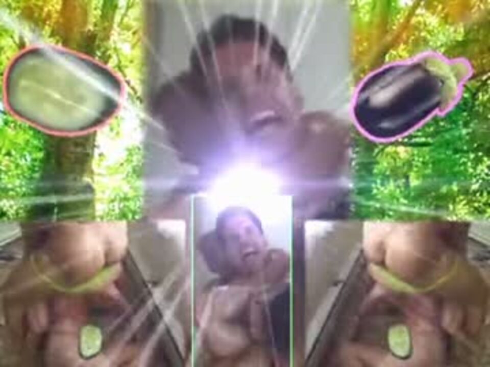 おやさいド:(仮)