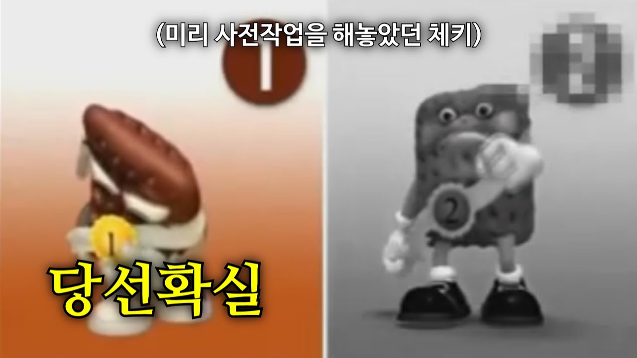 첵스초코 관짝